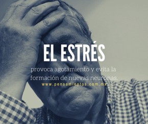 7 HBITOS QUE MATAN A LAS NEURONAS