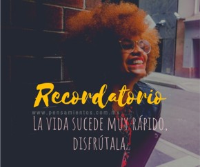 7 recordatorios