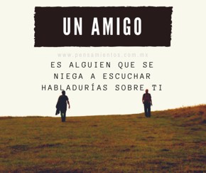 Amigos es...