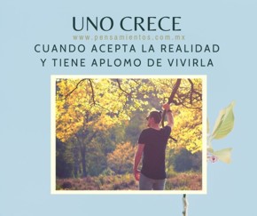 Como crecemos