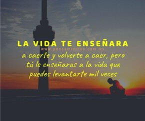 La vida te enseñara