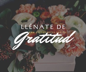 Llénate de gratitud