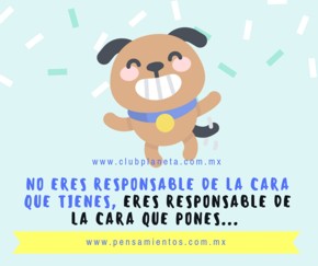 Mil perritos