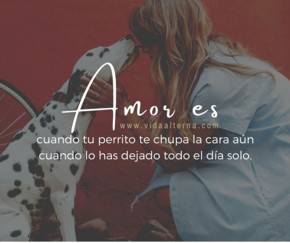 Qué significa amor?