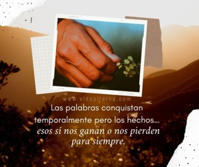 Te regalo esta frase