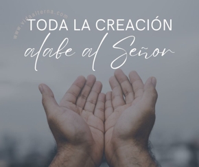 Toda la creación alabe al señor